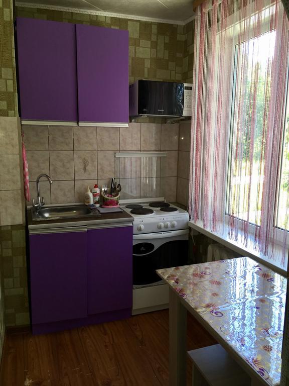 Апартаменты Flat For Rent Байкальск Экстерьер фото